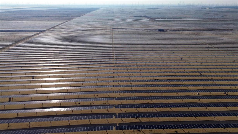 圖為光伏電站一景，能建國際供圖
